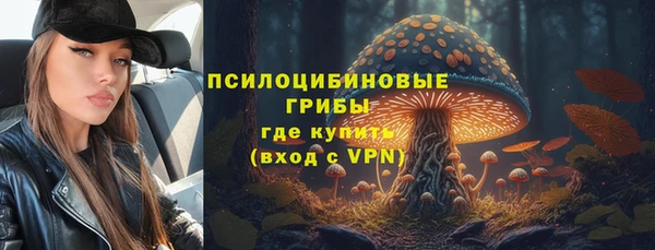 a pvp Алзамай