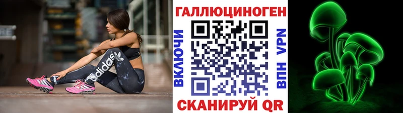 купить  цена  Орлов  Галлюциногенные грибы Psilocybine cubensis 